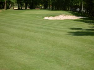 Hoyo 9 entrada Green